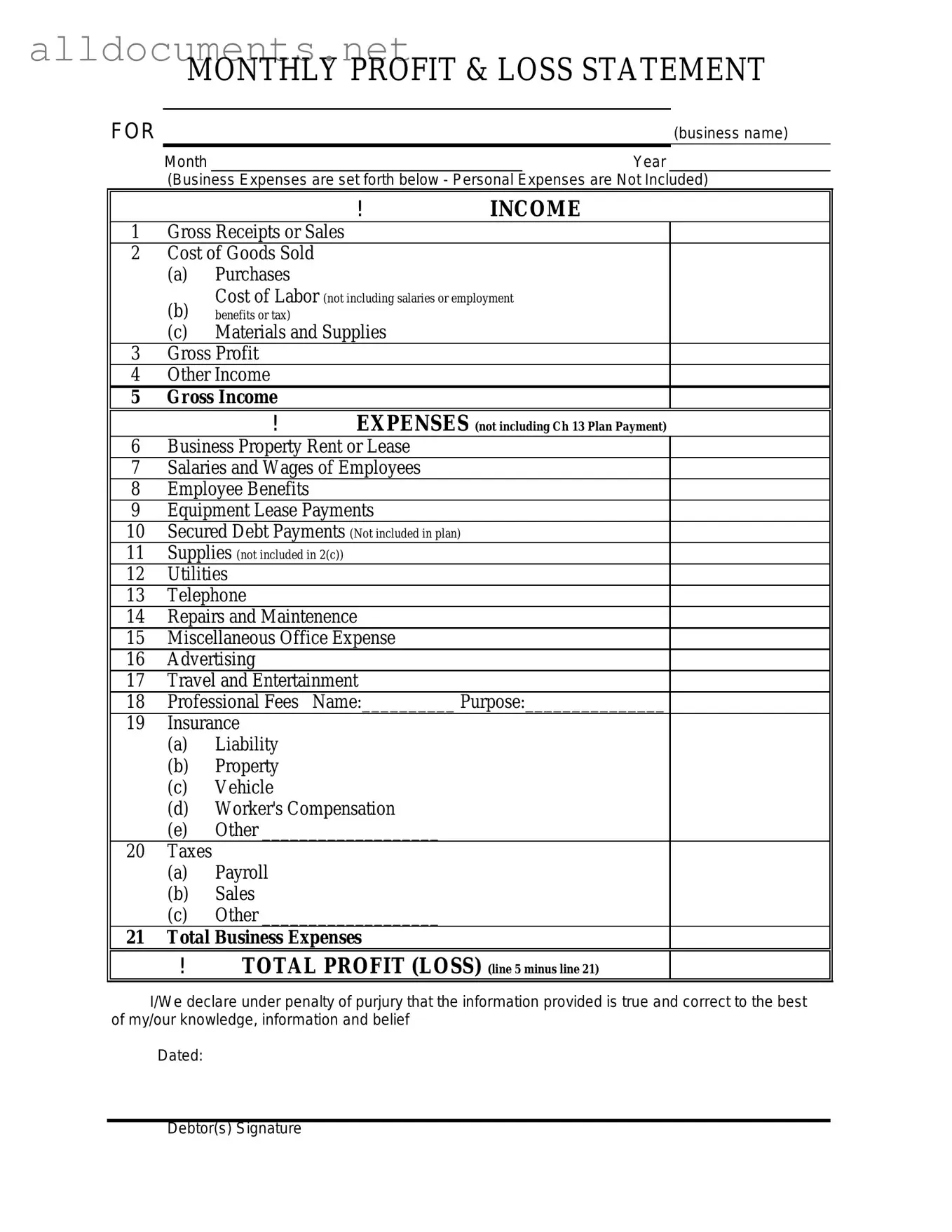 Fillable Profit And Loss Template in PDF