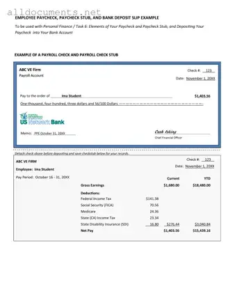 Fillable Payroll Check Template in PDF