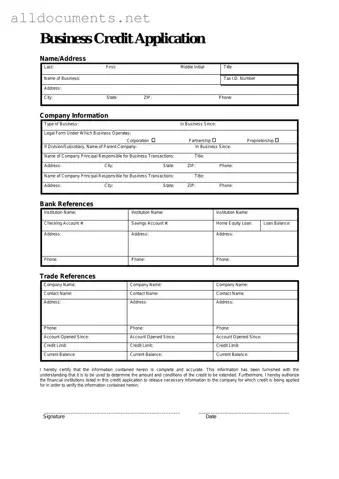 Fillable Business Credit Application Template in PDF