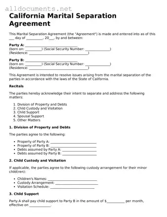 Official  Marital Separation Agreement Template for California