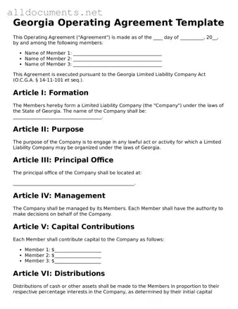 Official  Operating Agreement Template for Georgia