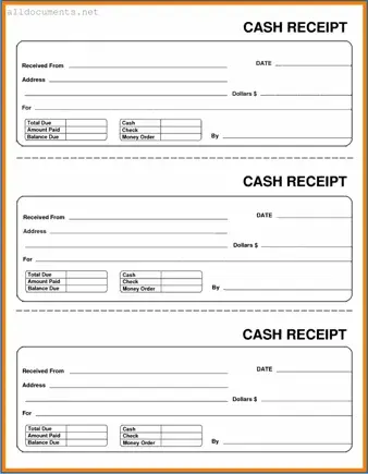 Fillable Cash Receipt Template in PDF
