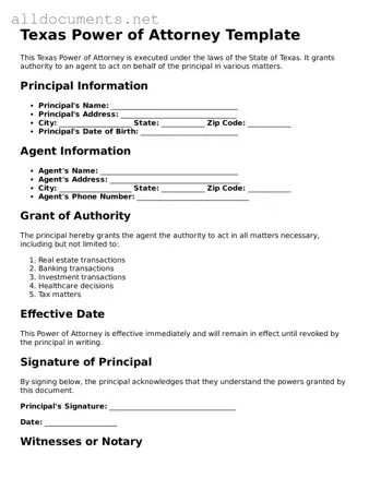 Official  Power of Attorney Template for Texas